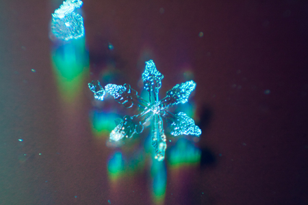 Macro shot from real Snowflake winter snowの写真素材