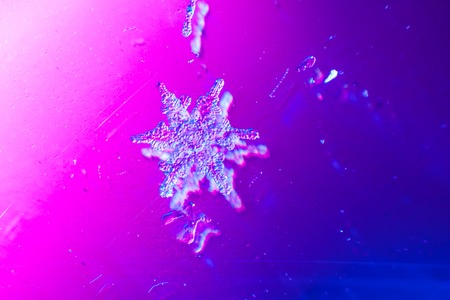 Macro shot from real Snowflake winter snowの写真素材
