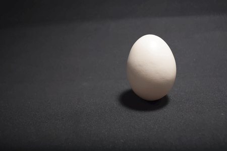 Egg in the standのイラスト素材