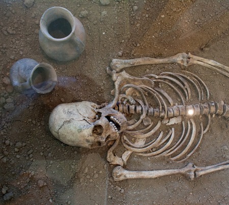 Archaeological excavations of an ancient human homo sapiens man reasonable Neanderthal bones skeleton and human skullの写真素材