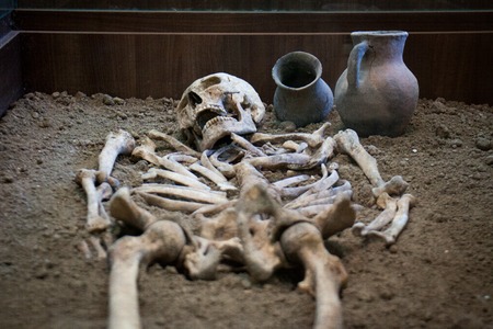 Archaeological excavations of an ancient human homo sapiens man reasonable Neanderthal bones...
