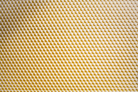 Beekeeping artificial industrial wax wax for bees to build honeycombs on the framework of a hiveの写真素材