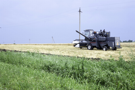 Combine machine is harvesting oats on farm field. combine harvester working on a wheat field. Combine harvester cuts the field of mature ripe yellow wheatの写真素材