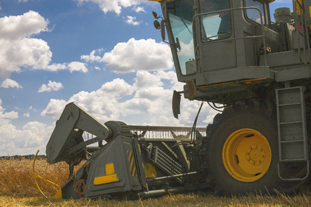 Combine machine is harvesting oats on farm field. combine harvester working on a wheat field. Combine harvester cuts the field of mature ripe yellow wheatの写真素材