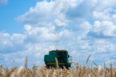 Krasnodar Territory, RUSSIA - July 08 2017 : Harvester machine to harvest wheat field working. Combine harvester agriculture machine harvesting golden ripe wheat field. Agricultureのeditorial素材