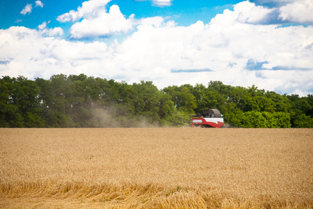 Krasnodar Territory, RUSSIA - July 08 2017 : Harvester machine to harvest wheat field working. Combine harvester agriculture machine harvesting golden ripe wheat field. Agricultureのeditorial素材