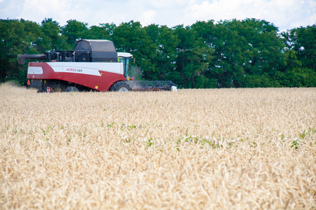 Krasnodar Territory, RUSSIA - July 08 2017 : Harvester machine to harvest wheat field working. Combine harvester agriculture machine harvesting golden ripe wheat field. Agricultureのeditorial素材