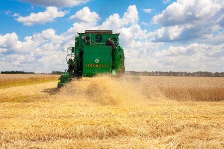 Krasnodar Territory, RUSSIA - July 08 2017 : Harvester machine to harvest wheat field working. Combine harvester agriculture machine harvesting golden ripe wheat field. Agricultureのeditorial素材