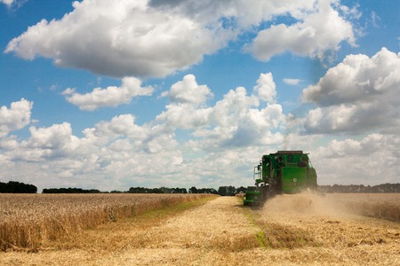 Krasnodar Territory, RUSSIA - July 08 2017 : Harvester machine to harvest wheat field working. Combine harvester agriculture machine harvesting golden ripe wheat field. Agricultureのeditorial素材