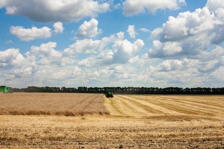 Krasnodar Territory, RUSSIA - July 08 2017 : Harvester machine to harvest wheat field working. Combine harvester agriculture machine harvesting golden ripe wheat field. Agricultureのeditorial素材