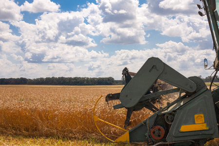 Krasnodar Territory, RUSSIA - July 08 2017 : Harvester machine to harvest wheat field working. Combine harvester agriculture machine harvesting golden ripe wheat field. Agricultureのeditorial素材
