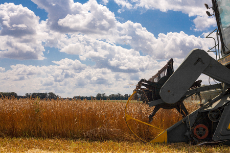 Krasnodar Territory, RUSSIA - July 08 2017 : Harvester machine to harvest wheat field working. Combine harvester agriculture machine harvesting golden ripe wheat field. Agricultureのeditorial素材