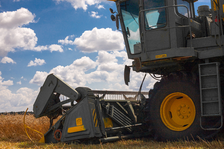 Krasnodar Territory, RUSSIA - July 08 2017 : Harvester machine to harvest wheat field working. Combine harvester agriculture machine harvesting golden ripe wheat field. Agricultureのeditorial素材