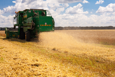 Krasnodar Territory, RUSSIA - July 08 2017 : Harvester machine to harvest wheat field working. Combine harvester agriculture machine harvesting golden ripe wheat field. Agricultureのeditorial素材