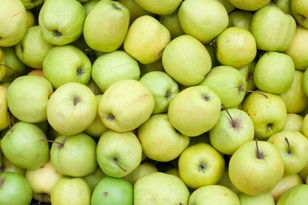 Apples background Green apple Raw fruit and vegetable backgrounds overhead perspective, part of a set collection of healthy organic fresh produceの写真素材