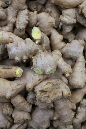 heap of ginger root Ginger background A bunch of ginger on the counter of a vegetable supermarket for sale top viewの写真素材