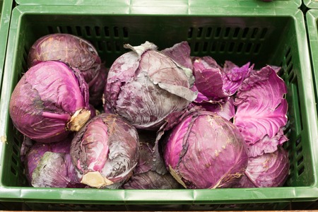 Red cabbage red cabbage bright lilac color on the store counter sale of red cabbageの写真素材