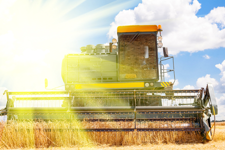 Combine machine is harvesting oats on farm field. combine harvester working on a wheat field. Combine harvester cuts the field of mature ripe yellow wheatの写真素材