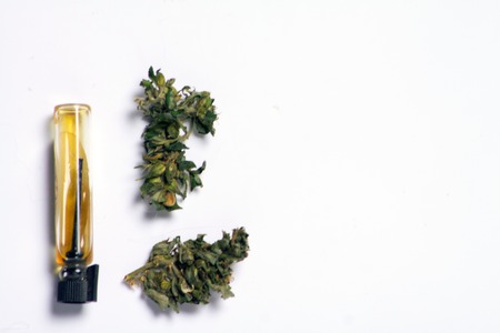 hemp oil in a bubble with marijuana buds and cannabis seedsの写真素材