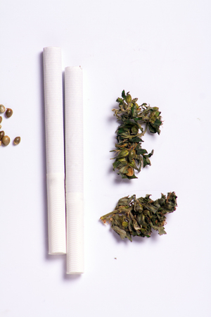 leaves and seeds of marijuana with two cigarettes for smokingの写真素材
