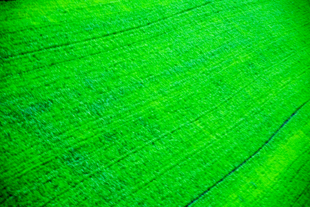 Green meadow under blue sky with clouds Green field bright green young grass wheat barley spring field shoots on the field young grassの写真素材