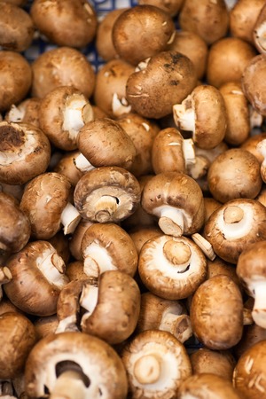 CHAMPIGNONS background texture Fresh champignons. Champignon mushrooms background for saleの写真素材