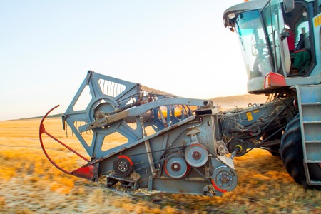 Combine machine is harvesting oats on farm field. combine harvester working on a wheat field. Combine harvester cuts the field of mature ripe yellow wheatの写真素材