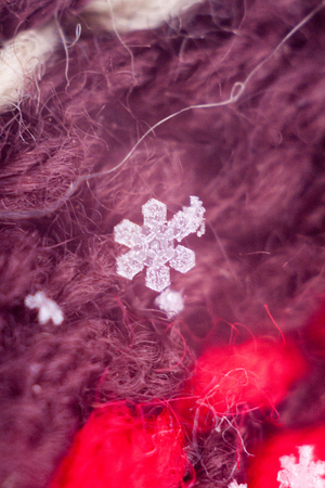 real snowflakes in the winter frozen in the cold layers of the atmosphere heavenly beauty unique live snowflake among frosty patterns and snowの写真素材