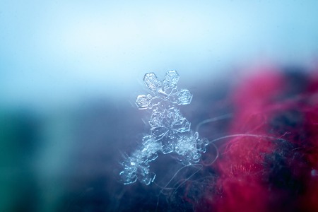 real snowflakes in the winter frozen in the cold layers of the atmosphere heavenly beauty unique live snowflake among frosty patterns and snowの写真素材