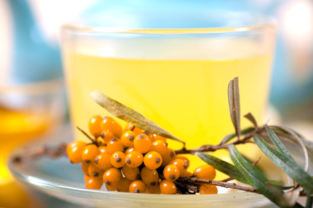 Healing sea-buckthorn tea delicious aromatic full of vitamin and microelements of bright yellow color with berries and leaves of the sea buckthorn fruit on a white background.の写真素材