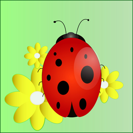 A bright ladybug in a good cartoon style on the flowers of chamomile in a green fieldのイラスト素材