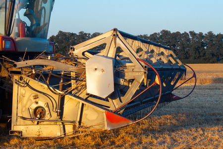 The mechanism of the Combine harvester cuts mower mowing the wheat field of mature ripe yellow wheat