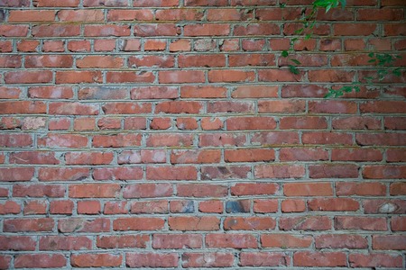 old brick wall of white brick with cement seams texture