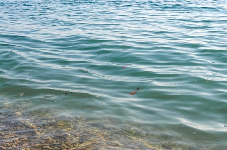 Small stones pebbles on the seashore washed by waves of salty sea clear water