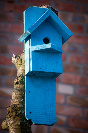 birdhouse wooden copyspace birds home tree birdbox . A house for feeding birds and for arranging bird nests.の写真素材