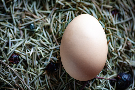 Photo of fresh chicken eggs. Realistic animal egg in basket on blue wooden table. A classic view of the kitchen table during breakfast in a village on a chicken-producing farm.の写真素材