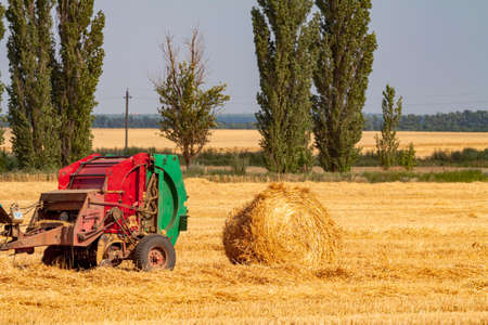 A tractor with a trailed bale making machine collects straw rolls in the field and makes round large balesの写真素材