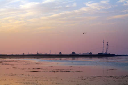 Morning on the river early morning reeds mist fog and water surface on the riverの写真素材