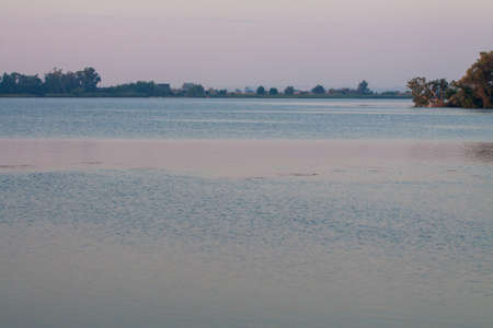 Morning on the river early morning reeds mist fog and water surface on the riverの写真素材