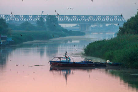 Morning on the river early morning reeds mist fog and water surface on the riverの写真素材