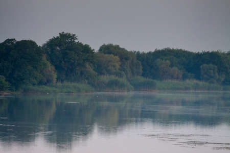 Morning on the river early morning reeds mist fog and water surface on the riverの写真素材