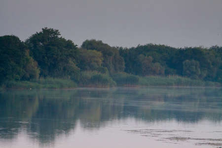 Morning on the river early morning reeds mist fog and water surface on the riverの写真素材