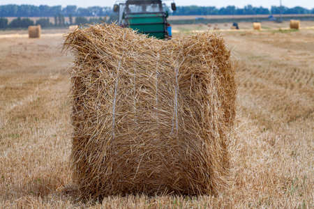 A tractor with a trailed bale making machine collects straw rolls in the field and makes round large balesの写真素材