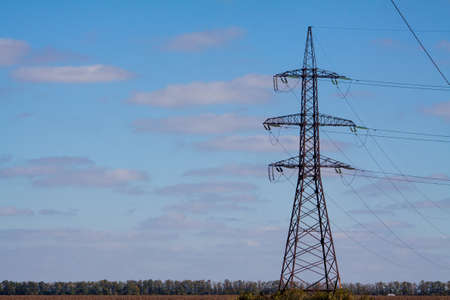 Crop in the Large field of dry sunflower on a sunny day. Autumn harvest., in the background big harvester mowing ripe,の写真素材