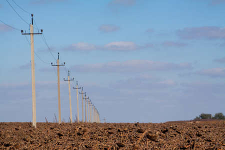 Crop in the Large field of dry sunflower on a sunny day. Autumn harvest., in the background big harvester mowing ripe,の写真素材