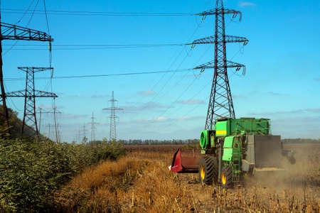 Crop in the Large field of dry sunflower on a sunny day. Autumn harvest., in the background big harvester mowing ripe,の写真素材