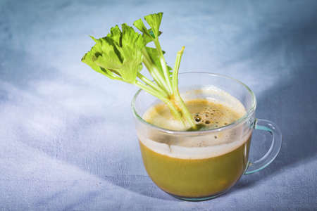 Healthy Celery diet for the treatment of incurable mysterious diseases. Fresh celery juice squeezed out on a juicer.drink, vegetable juice, studio shotの写真素材