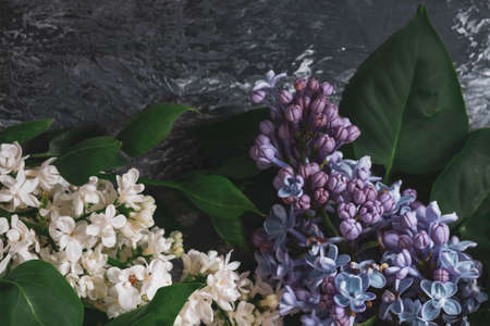 Texture background with bright flowers of lilac for the cover of the notebook diary or congratulations on the womans holidayの写真素材