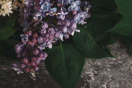 Background for greeting card greeting beloved woman wedding invitation flowers lilac on wooden surfaceの写真素材