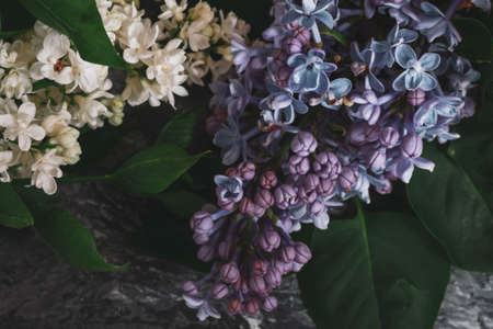 Texture background with bright flowers of lilac for the cover of the notebook diary or congratulations on the woman's holidayの写真素材